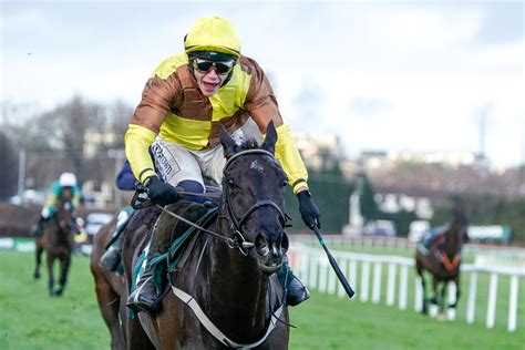 Gold Cup tips: Experts on best bets and 15 horses to watch at.